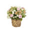 Delicate Carnations