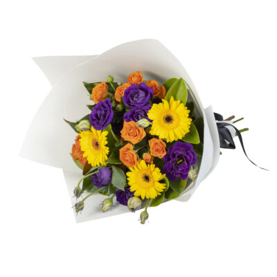 Gerberas And More