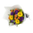 Gerberas And More