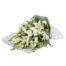 Heavenly Lilies