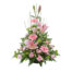 Pink Sympathy
