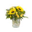 Spring Sunflowers