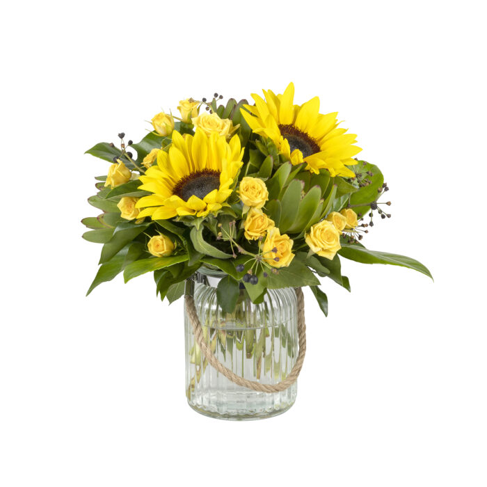 Spring Sunflowers